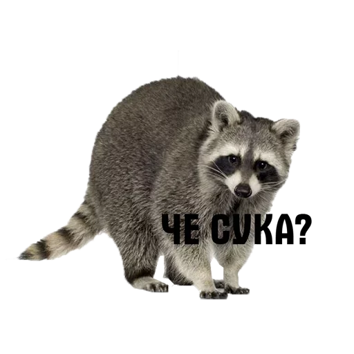 Эмодзи Мемы жизы