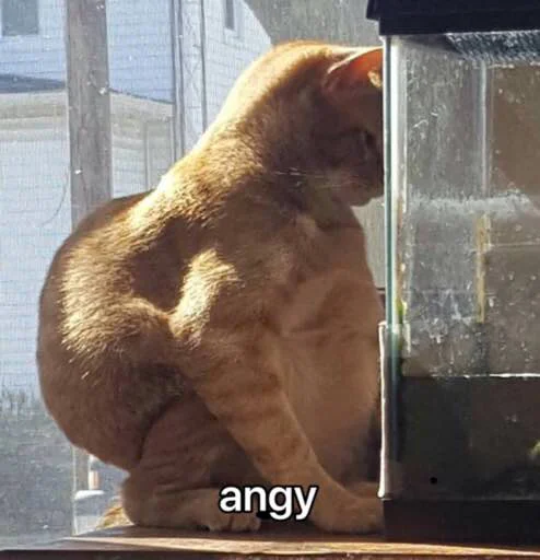 Эмодзи kucingnya dante
