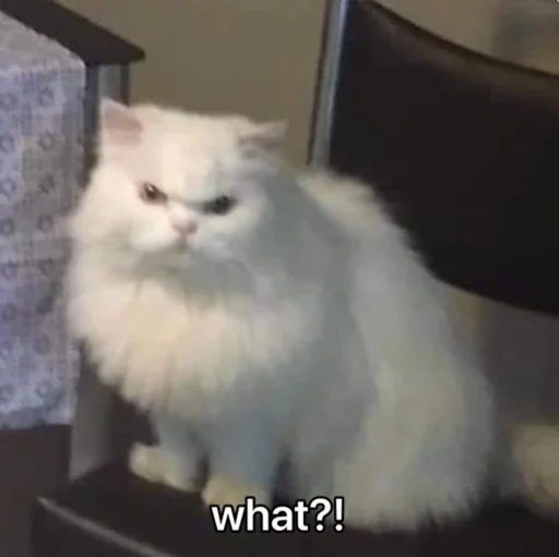 Эмодзи kucingnya dante