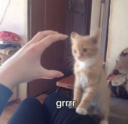 Эмодзи kucingnya dante