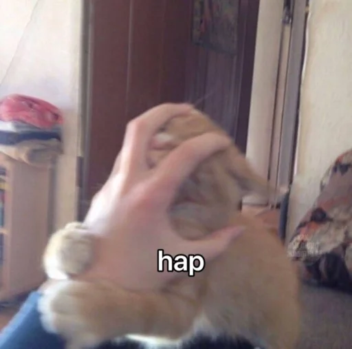 Эмодзи kucingnya dante