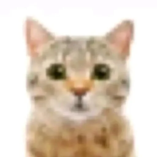 Эмодзи Cats memes