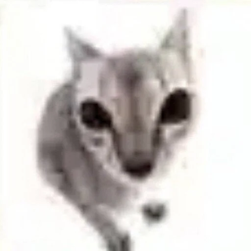 Эмодзи Cats memes