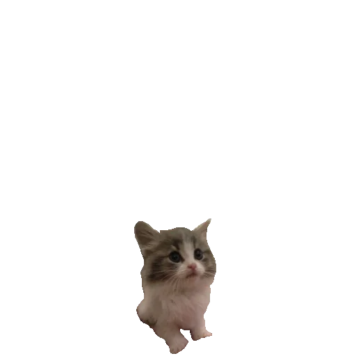 Эмодзи котики