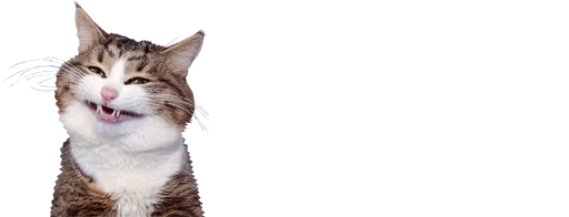 Эмодзи микро коты