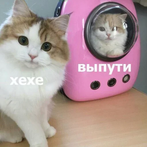 Эмодзи Милые котики