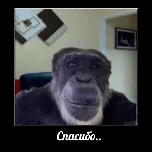 Эмодзи yeah lol