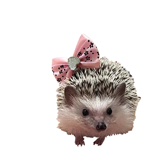 Эмодзи Cuteness