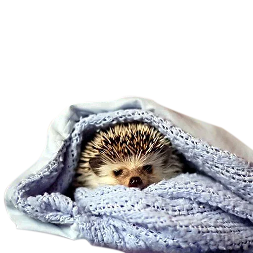 Эмодзи Cuteness