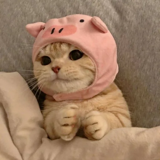 Эмодзи милота