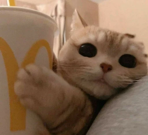 Эмодзи милота