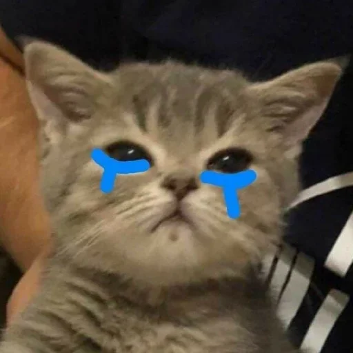 Эмодзи El pack de mininos definitivo