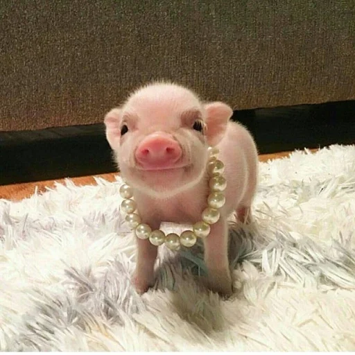 Эмодзи мини пиги