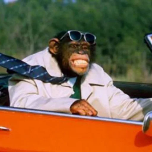 Эмодзи mi scusi