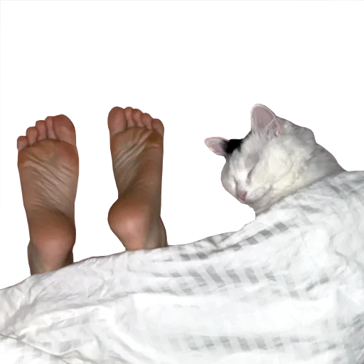 Эмодзи Mister Milkis
