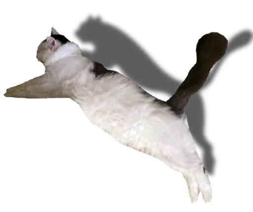 Эмодзи Mister Milkis