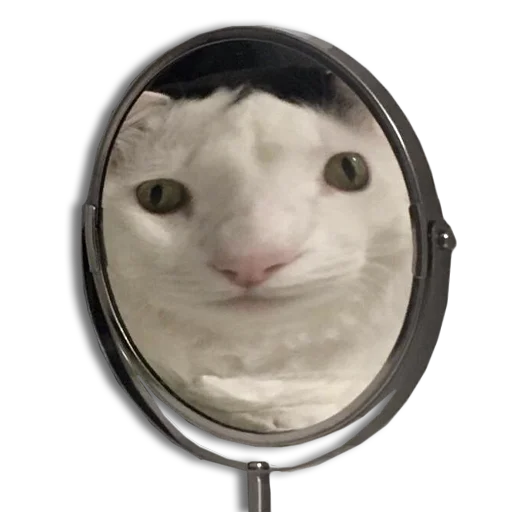 Эмодзи Mister Milkis