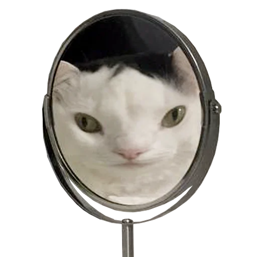 Эмодзи Mister Milkis