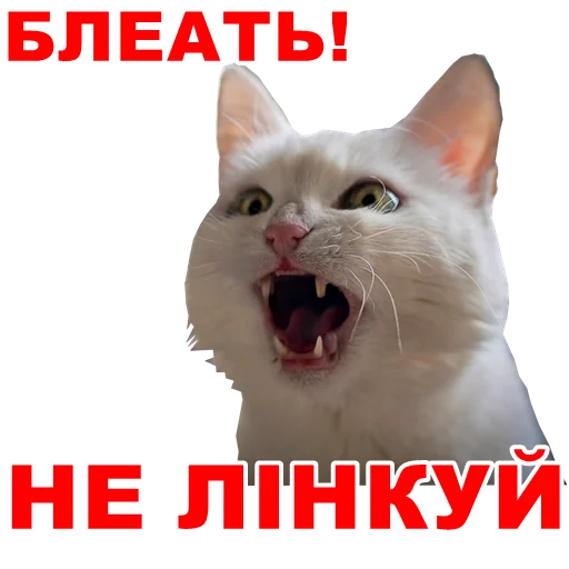 Эмодзи МіжФрак
