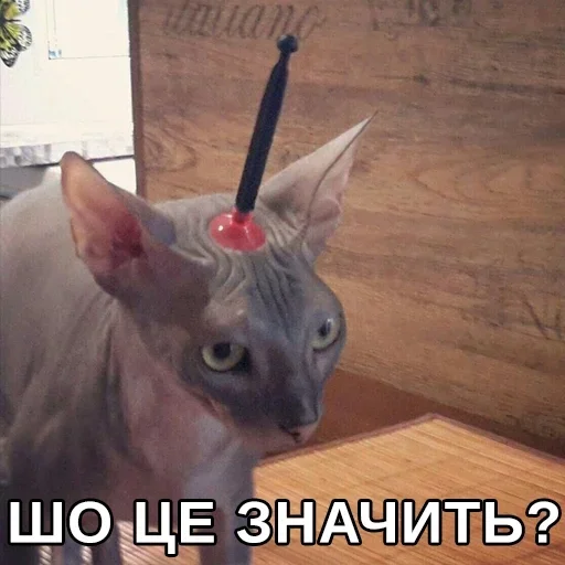 Эмодзи Будні екологів