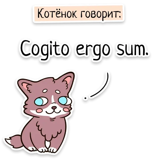 🎓