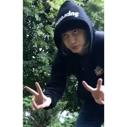 Эмодзи молдавская муха 2
