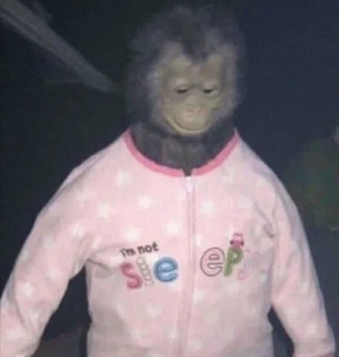 Эмодзи monkeys