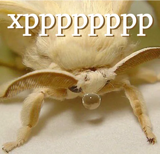 Эмодзи moooooths