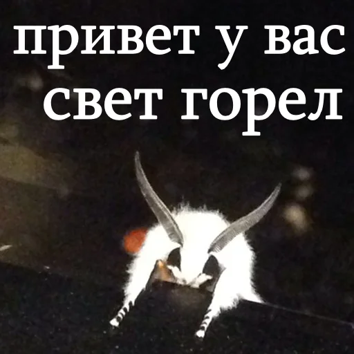 Эмодзи moooooths