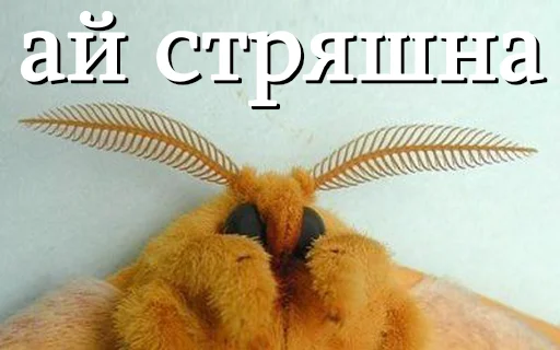 Эмодзи moooooths