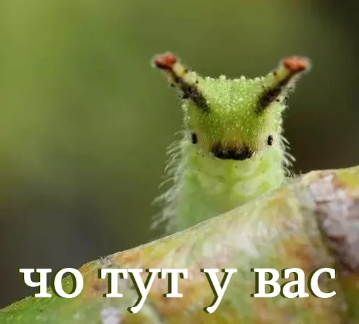 Эмодзи moooooths