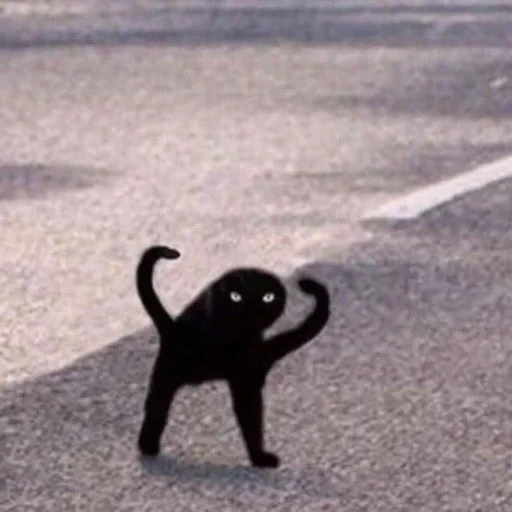 Эмодзи morrrrre