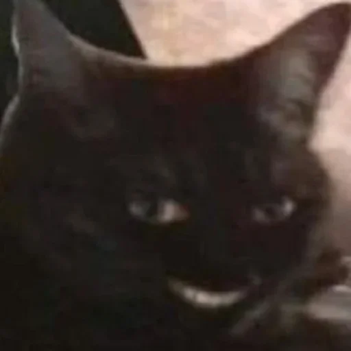 Эмодзи morrrrre