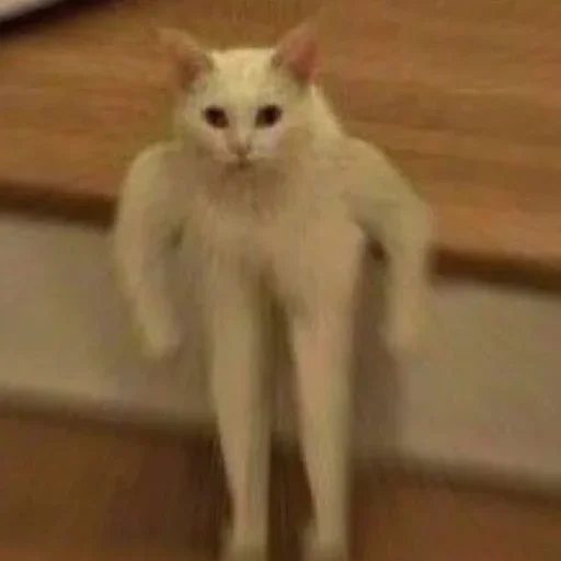 Эмодзи morrrrre