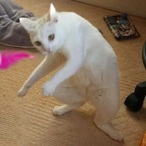 Эмодзи morrrrre