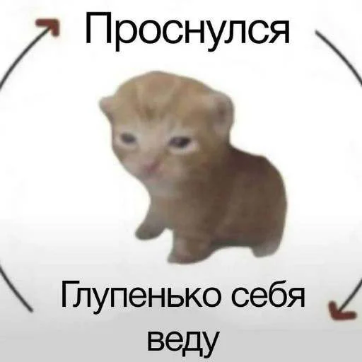 Эмодзи cats.mos?