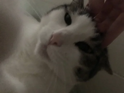 Эмодзи мотя