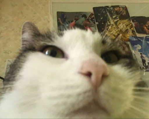 Эмодзи мотя