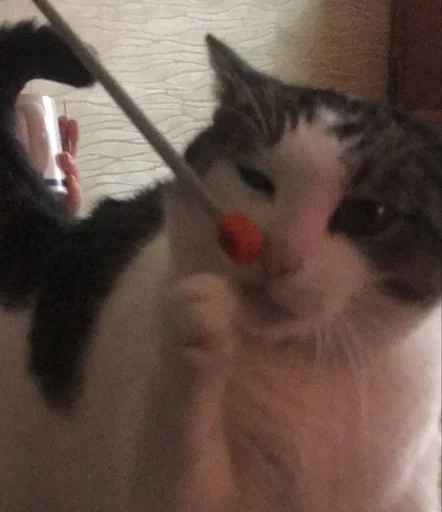 Эмодзи мотя