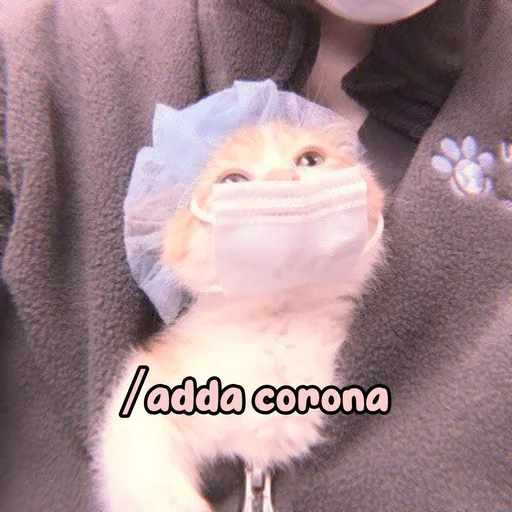 Эмодзи Котики