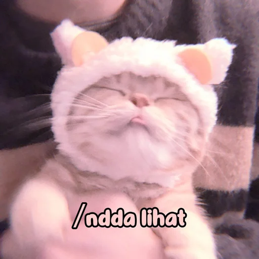 Эмодзи Котики