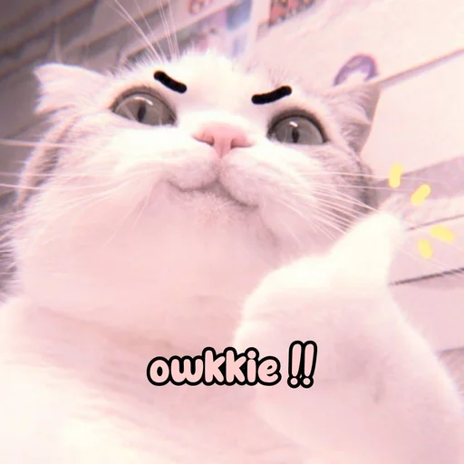 Эмодзи Котики
