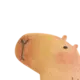 Эмодзи Mr. Capybara