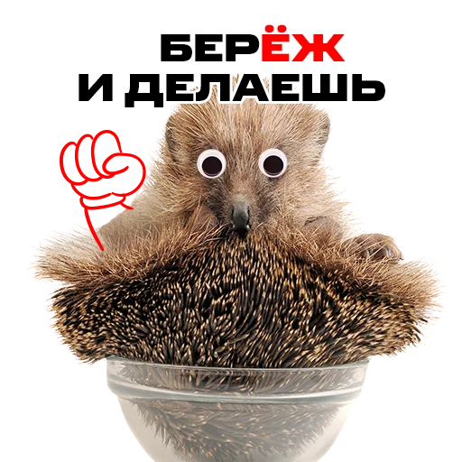 Эмодзи надЁЖные стикеры