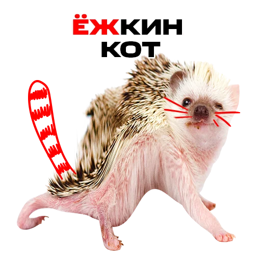 Эмодзи надЁЖные стикеры