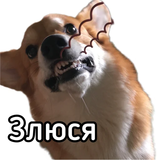 Эмодзи Маффин корги