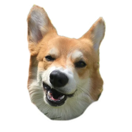 Эмодзи Маффин корги