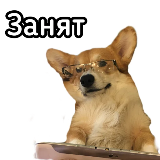 Эмодзи Маффин корги