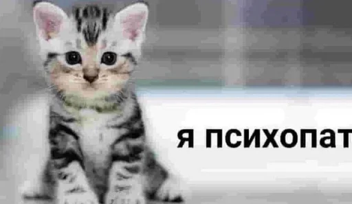 Эмодзи cats