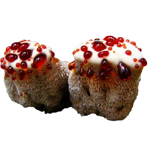 Эмодзи mushrooms